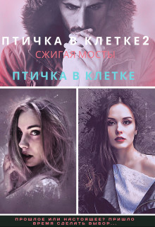 Птичка в клетке 2
