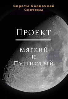Проект «Мягкий и пушистый»
